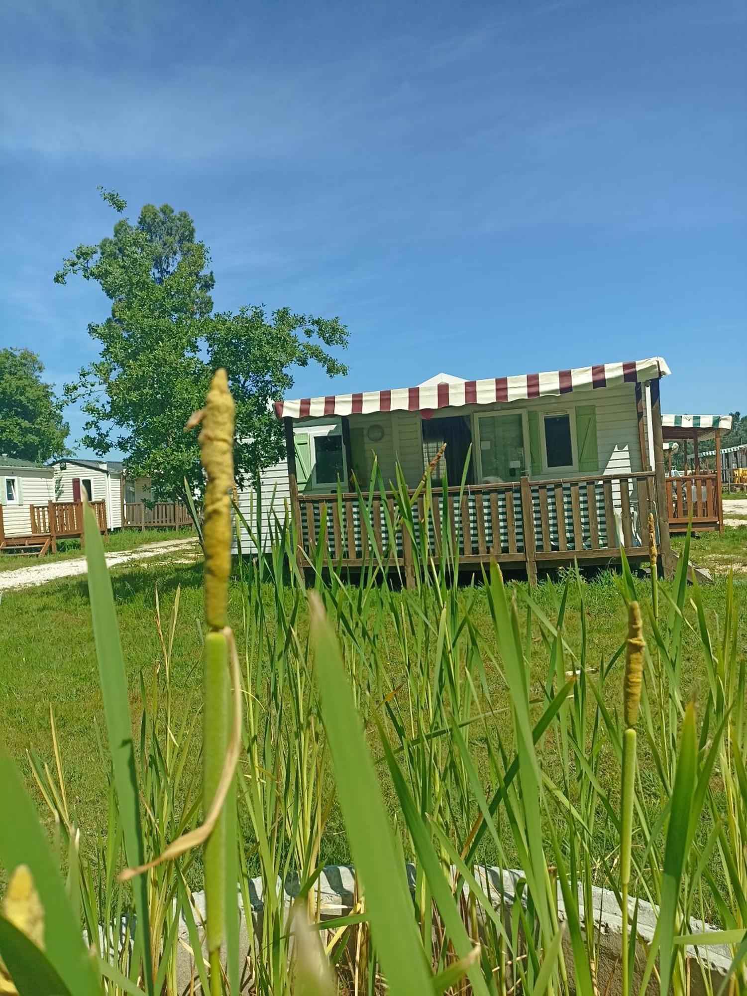 Tinyhouse Tilda - Near Famous Beaches 帕塔亚什 外观 照片